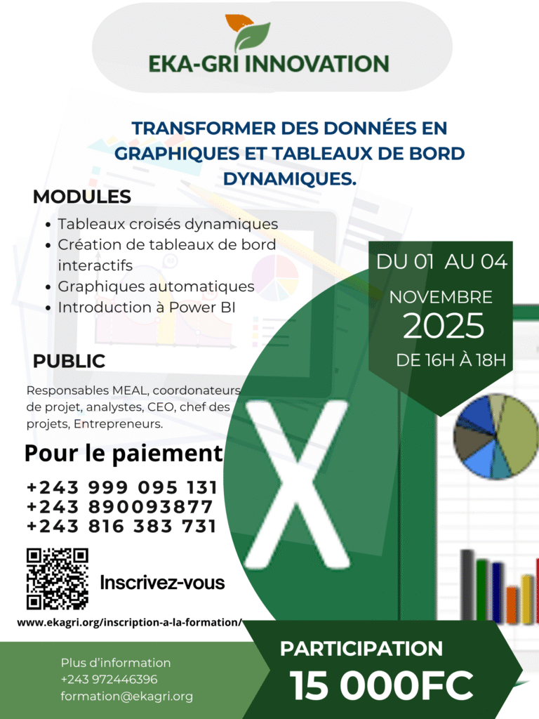 Bukavu : Ekagri-Innovation forment les acteurs des ONG à la création de tableaux de bord dynamiques sur Excel