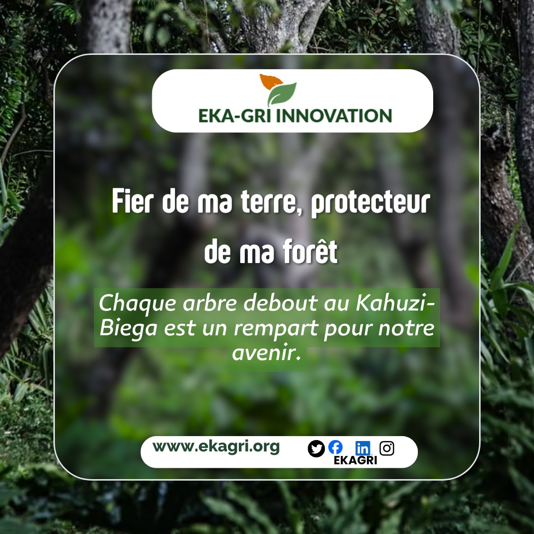 WhatsApp Image 2026-02-02 at 17.40.10 (1)