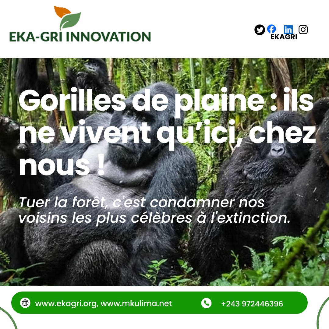 WhatsApp Image 2026-02-05 at 09.06.47