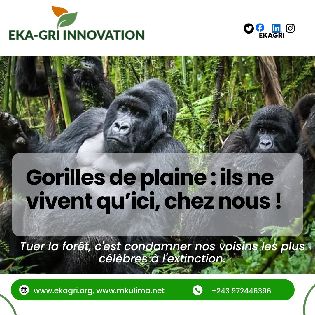 WhatsApp Image 2026-02-05 at 09.25.49